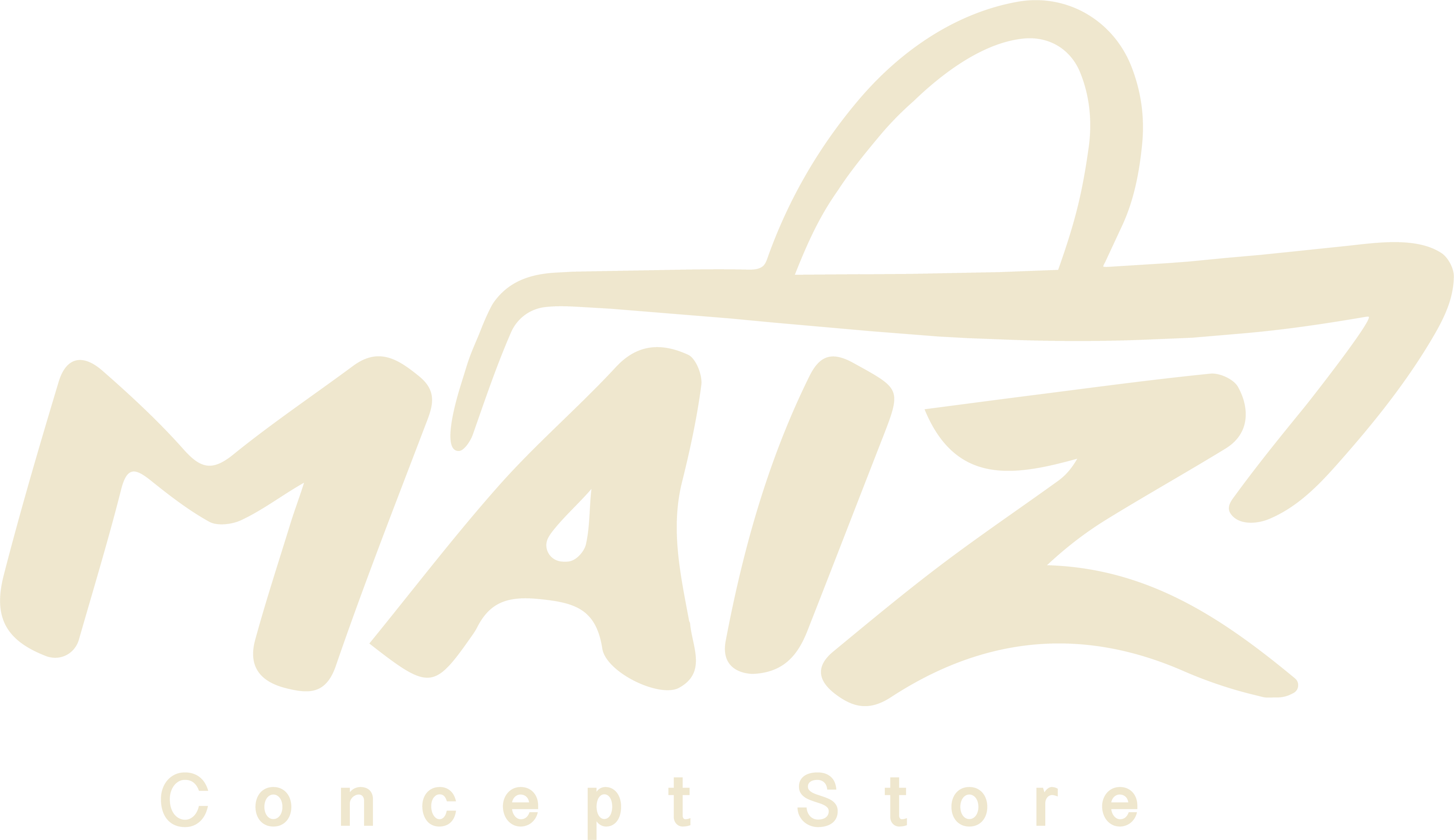 MAIZ Concept Store